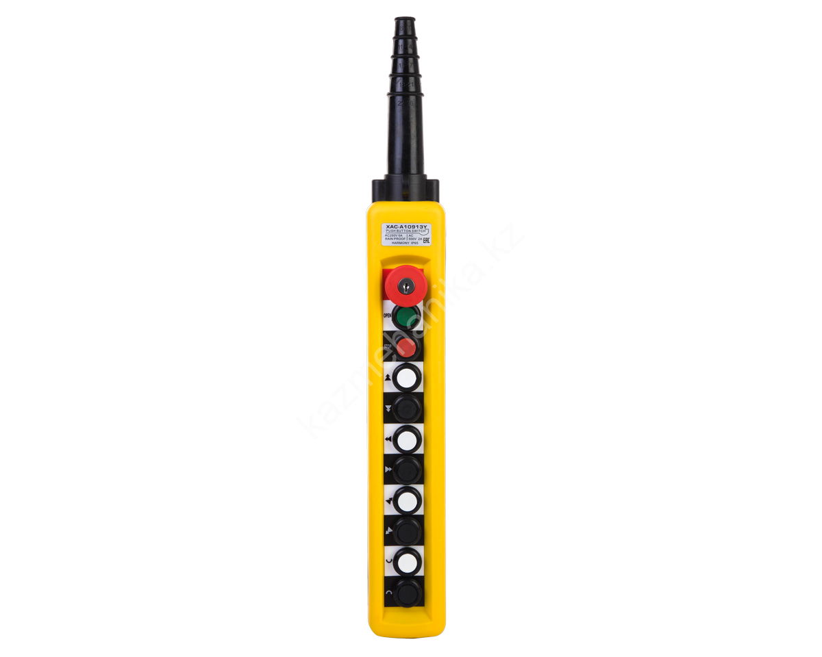 Пульт. 10 кн. 2 ст. + СТОП БУТОН + ключ (XАC-A10913Y)