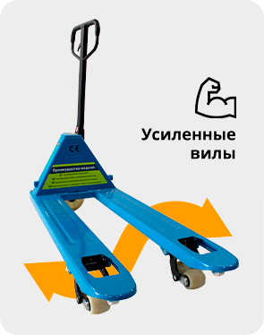 glavnaya litseva