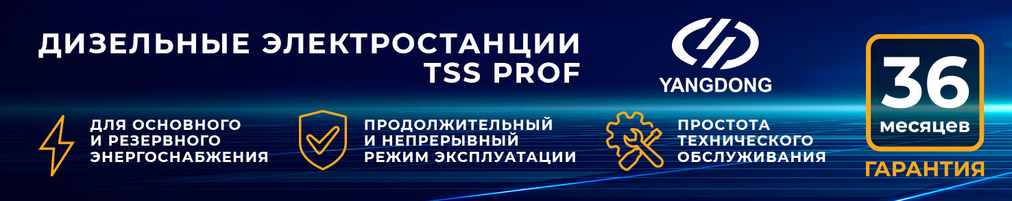 tss yangdong prof yangdong